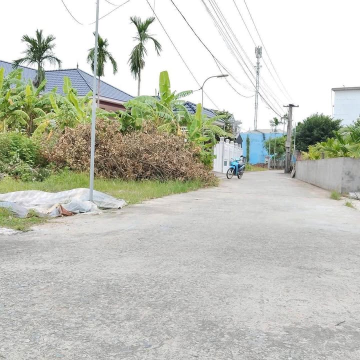 Đất nền Thái Thịnh - Thái Thụy 80m² giá chỉ 700 triệu - Đầu tư sinh lời ngay!