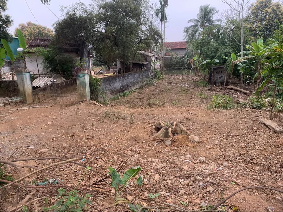 Đất nền xã Tây Đô, Huyện Vĩnh Lộc 272m² giá chỉ 500 triệu - Cơ hội đầu tư hấp dẫn!