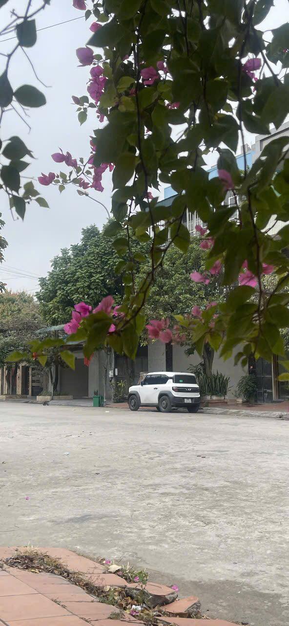 Lô đất thổ cư Phù Khê Bắc Ninh 89m² giá 4 tỷ - Cơ hội đầu tư hiếm có!