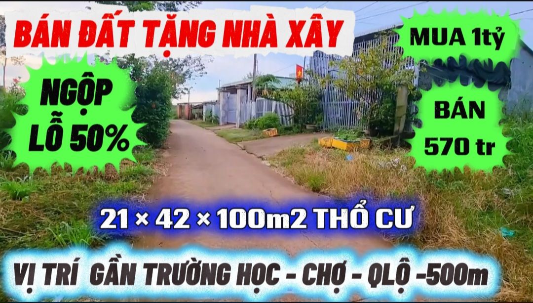 Nhà 1PK - 2PN 1000m² tại Hưng Phước, Bình Phước - Sổ đỏ chính chủ, giá thỏa thuận!