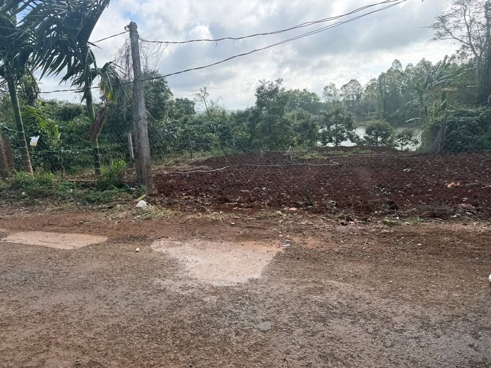 Đất nền Phú Xuân, 762m², giá chỉ từ 1xx triệu - Cơ hội đầu tư sinh lời!