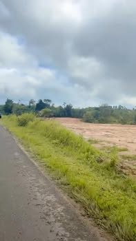 Đất nền Quốc lộ 29, Huyện Krông Năng, Đắk Lắk 6000m² giá 65 triệu - Đầu tư tiềm năng!