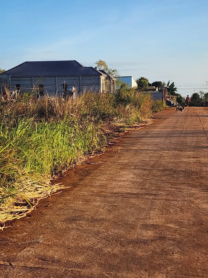 Đất thổ cư 364m² tại thị xã Buôn Hồ - Giá chỉ 1.75 tỷ, cơ hội đầu tư hấp dẫn!