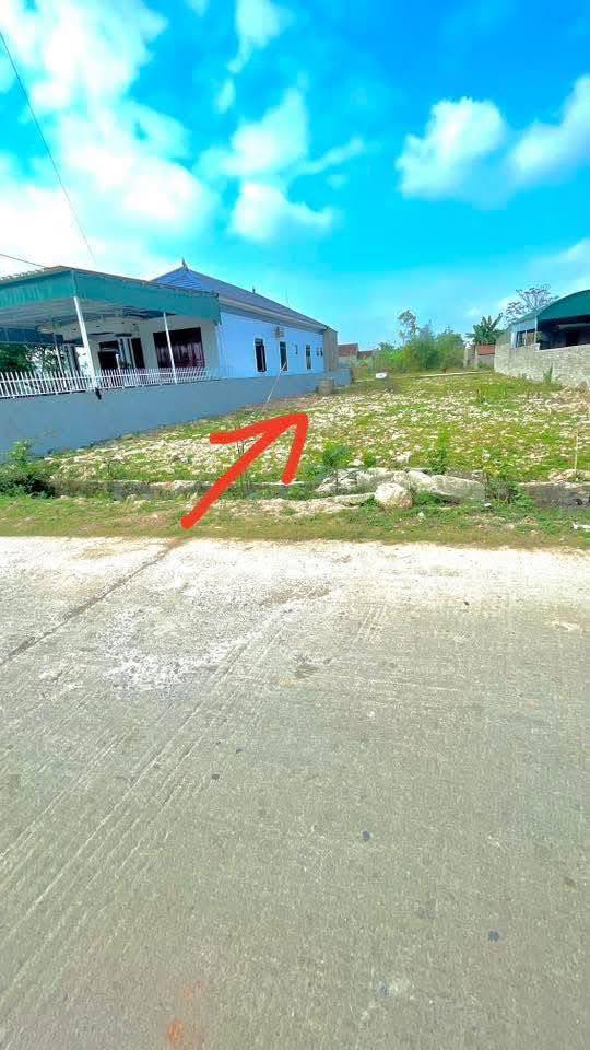 Đất nền xã Văn Thành, huyện Yên Thành 165m² - Giá tốt bất ngờ!