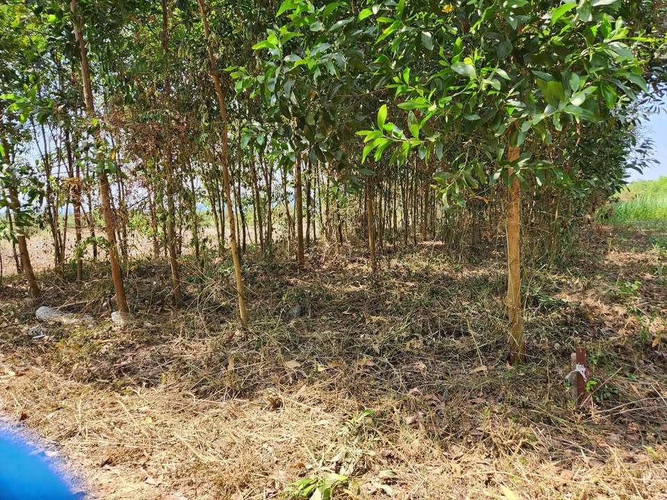 Đất nền Gia Canh - Định Quán 360m² giá chỉ 2.65 tỷ - Bán gấp do cần tiền!