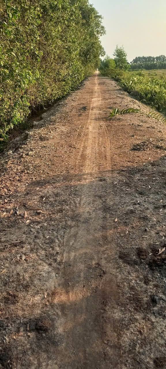 Đất nông nghiệp 25 công tại xã Thạnh Mỹ, huyện Tân Phước, giá 3.375 tỷ - Cơ hội đầu tư hấp dẫn!