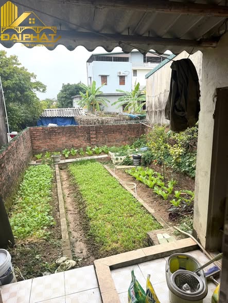 Đất nền khu phố 5 Hải Xuân 115m² giá thỏa thuận - Mặt tiền đường cao tốc!