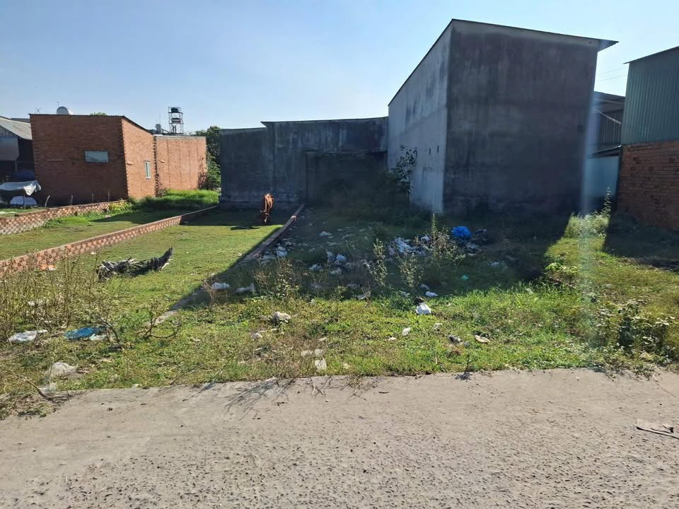 Đất thổ cư 125m² tại Mỹ Hạnh Nam, Đức Hòa, Long An - Giá chỉ 1.1 tỷ!