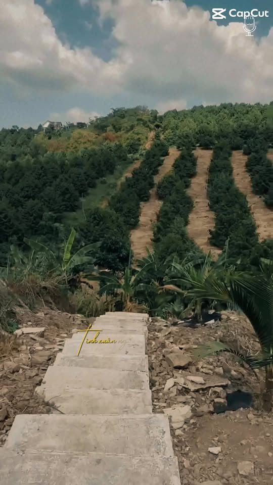 Đất nông nghiệp 2.7ha Hàng Gòn - Long Khánh giá 3.5 tỷ - Cơ hội đầu tư hấp dẫn!