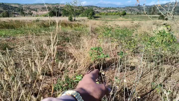 Đất nền 14.400m² xã Kon Chiêng giá 350 triệu - Cơ hội đầu tư vàng!