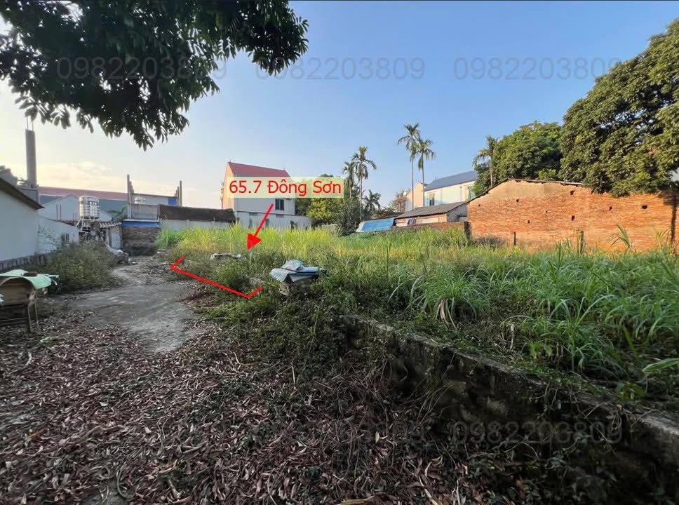 Đất nền Đông Sơn, Chương Mỹ 67.5m² giá chỉ 1.999 tỷ - Cơ hội vàng đầu tư!