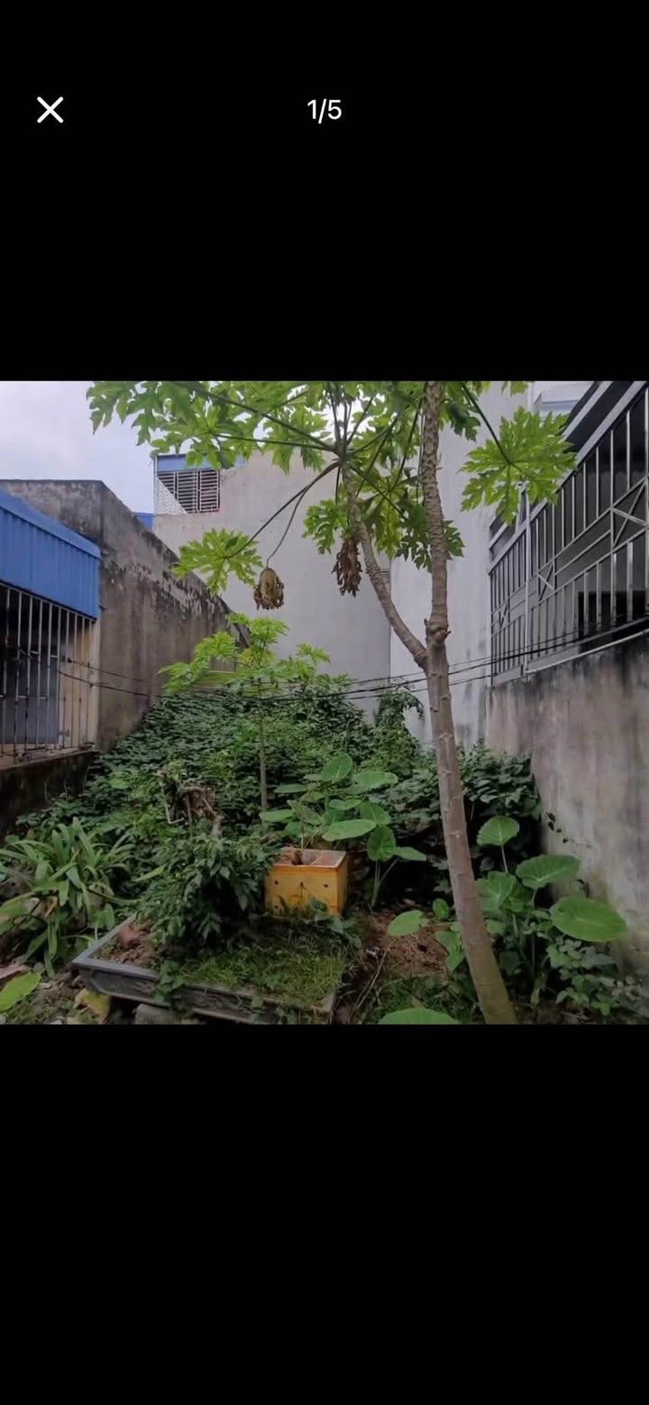 Đất nền Nguyễn Văn Trỗi, 56m², chỉ 1.49 tỷ - Cơ hội đầu tư tuyệt vời!