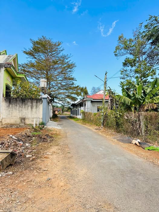 Đất Hẻm 42 Âu Cơ, Quận Tân Bình, 119m², Giá 1.2 tỷ - Cơ hội đầu tư hiếm có!