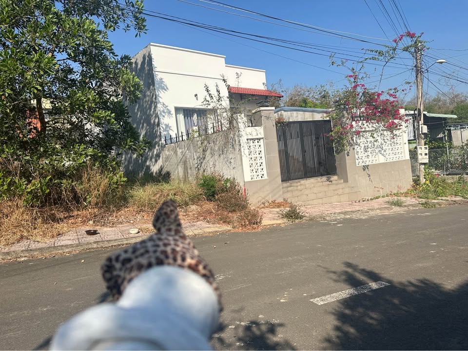 Đất nền 2 mặt tiền đường nhựa Phường Tân Đồng, Đồng Xoài - Diện tích 140m² chỉ 700 triệu!