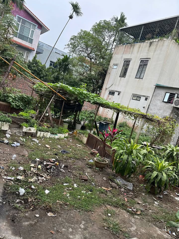 Đất nội thị Phố Ngô Quyền, Sơn Tây 45.6m² giá 1.1 tỷ - Đầu tư sinh lời ngay!