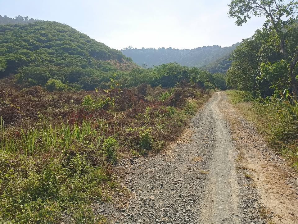 Đất nông nghiệp Đạ Tẻh Lâm Đồng 8000m² giá 1.6 tỷ - Địa thế đẹp, sẵn ao giữa đất