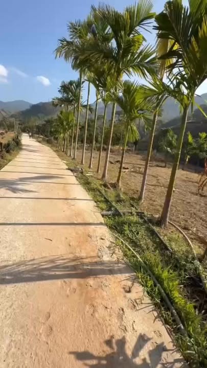 Đất mặt tiền đường Lê Thị Pha, xã Đạ Huoai 1200m² giá chỉ 1.1 tỷ - Cơ hội đầu tư tuyệt vời!