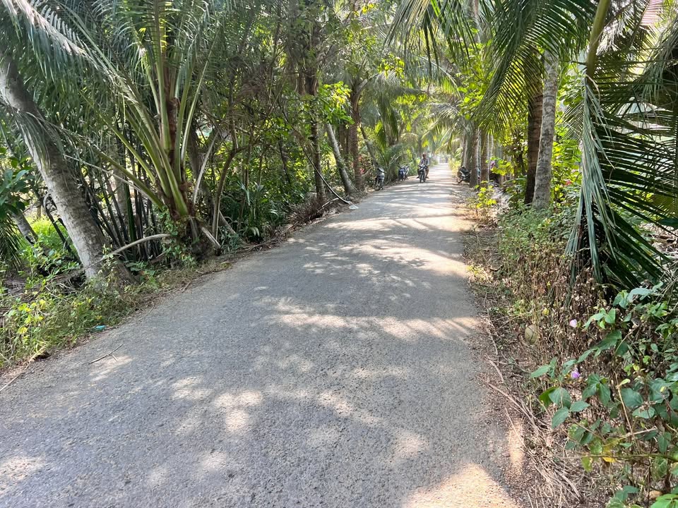 Đất vườn Bờ Ngựa, Lộc Thuận 3000m² giá 2.7 tỷ - Đầu tư sinh lời!