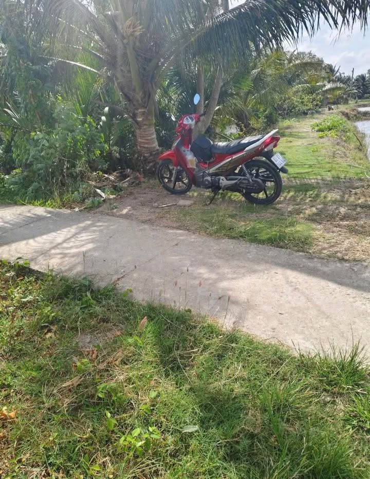 Đất nền 4000m² tại Trần Đề, Sóc Trăng - Giá tốt cho nhà đầu tư!