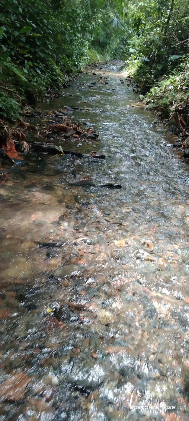 Đất nông nghiệp 10ha tại Xóm Cang Bám, Suối Thế - Giá 3 tỷ - Cơ hội đầu tư hấp dẫn!