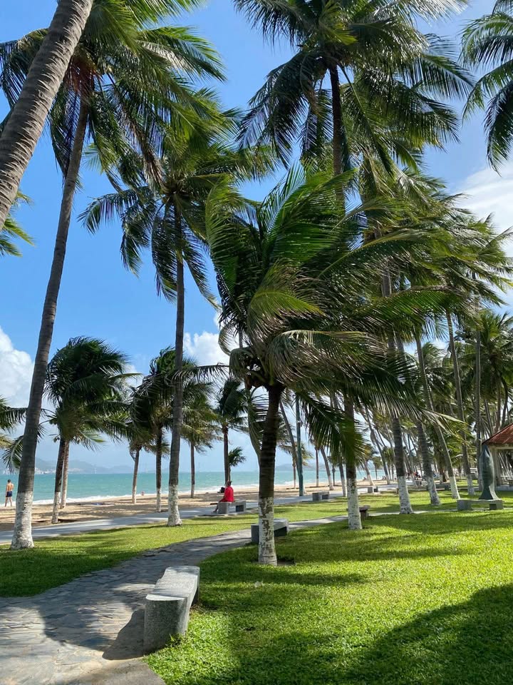 Đất mặt tiền Trương Quyền, Đà Nẵng 66m² giá 8.75 tỷ - Gần biển Mân Thái!