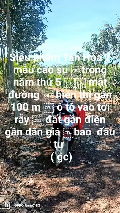 Farm Tân Hòa, Đồng Phú 20,000m² - Đầu tư sinh lời với giá thỏa thuận!