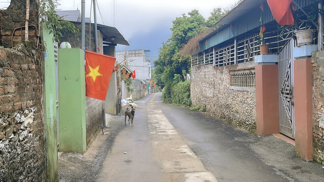 Đất nền Kim Bôi 156m² giá chỉ 1 tỷ - Sổ đỏ chính chủ ngay lập tức!