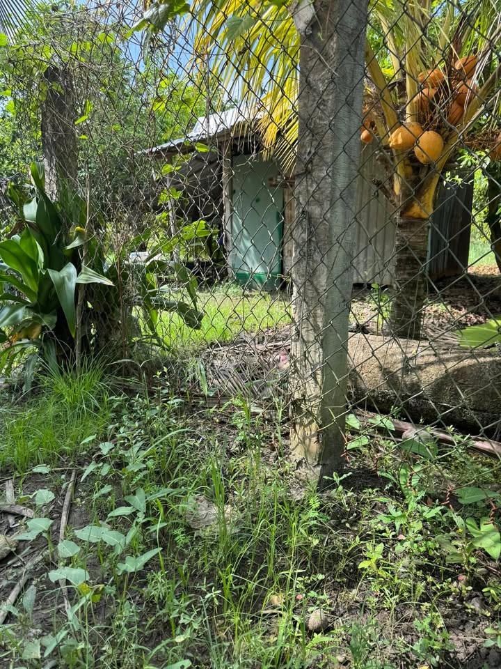 Đất vườn 4000m² tại Xã Thân Cửu Nghĩa, Giá 1.3 tỷ - Tiềm năng phát triển cao!