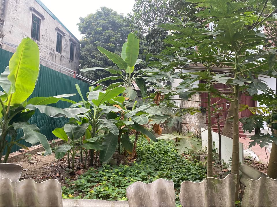 Đất ở Xuân Nộn 80m² giá thỏa thuận - Đường thông ô tô