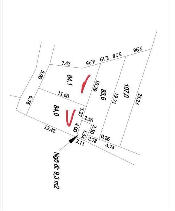 Đất nền thôn Bạch Nao, Tam Hưng, 80m² giá 700 triệu - Sổ đỏ chính chủ ngay trong ngày!