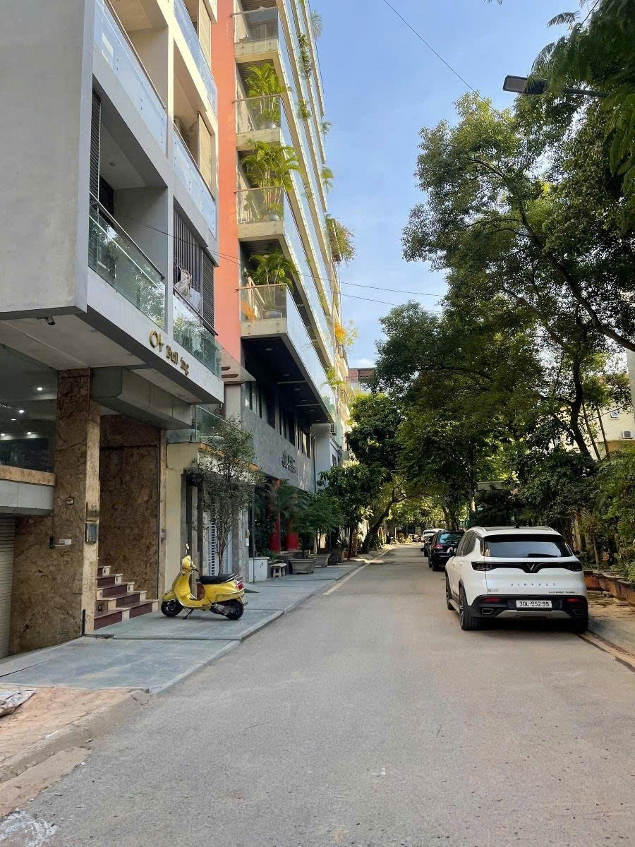 Đất mặt phố Trịnh Công Sơn Tây Hồ 200m² giá 100 tỷ - Cơ hội đầu tư hấp dẫn!