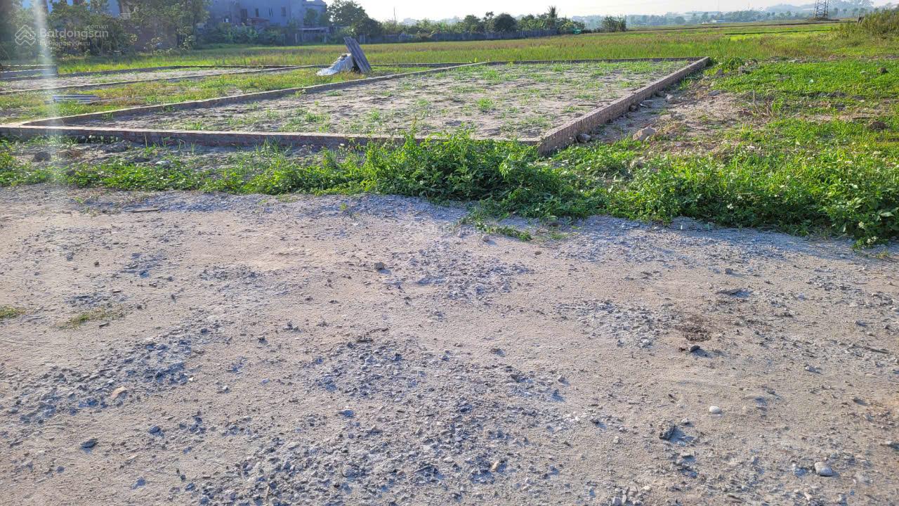 Lô đất giãn dân Xuân Nộn, Đông Anh 120m² - Vị trí đắc địa sát KCN 300ha!