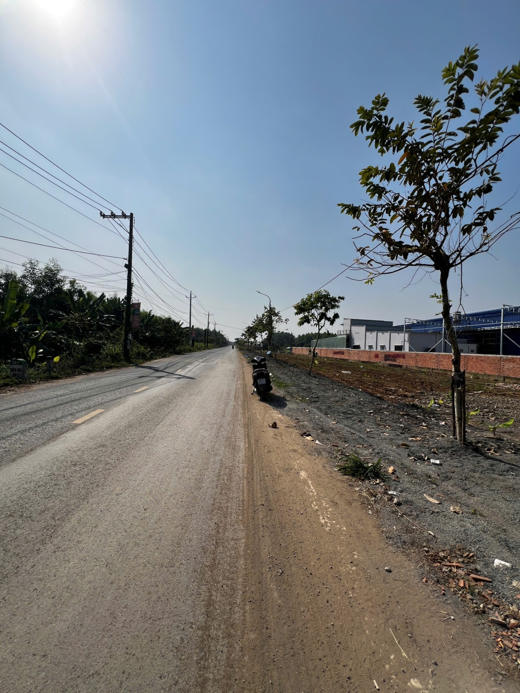 Đất mặt tiền kinh doanh đa ngành nghề xã Bình Lợi 100m² giá 1.99 tỷ - Vị trí đắc địa, tiềm năng lớn!