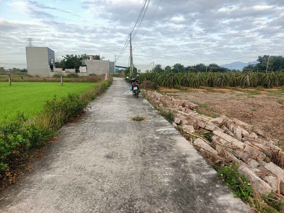 Đất nền Phong Nẫm, Phan Thiết 1000m² giá 1.2 tỷ - Sổ hồng riêng chính chủ!