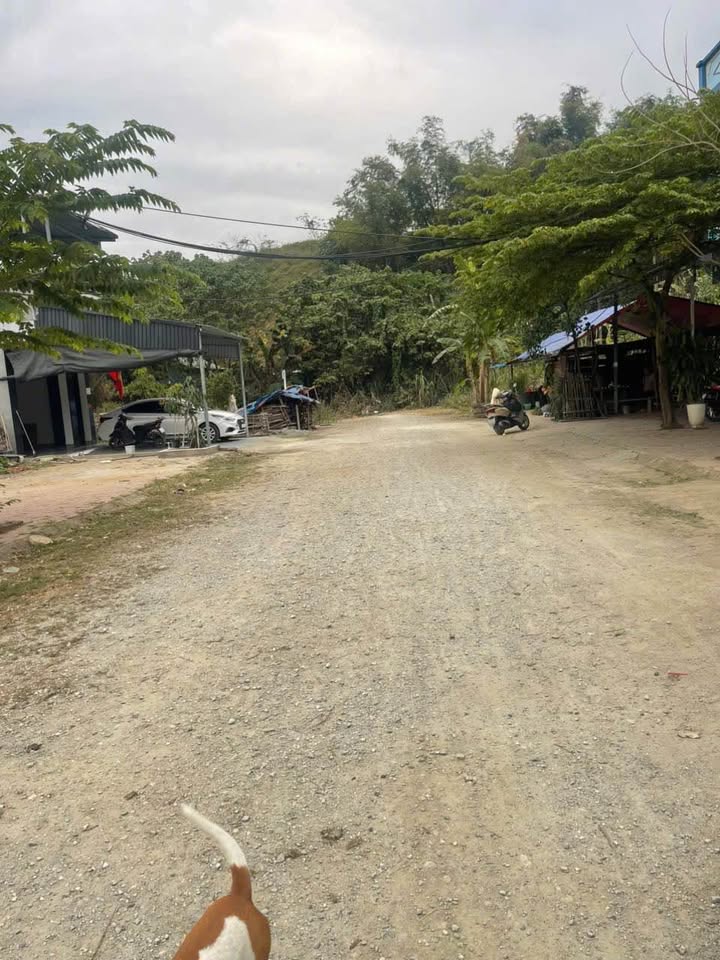 Đất nền TĐC Kosy Lào Cai 100m² giá 1.445 tỷ - Xây dựng tự do ngay!