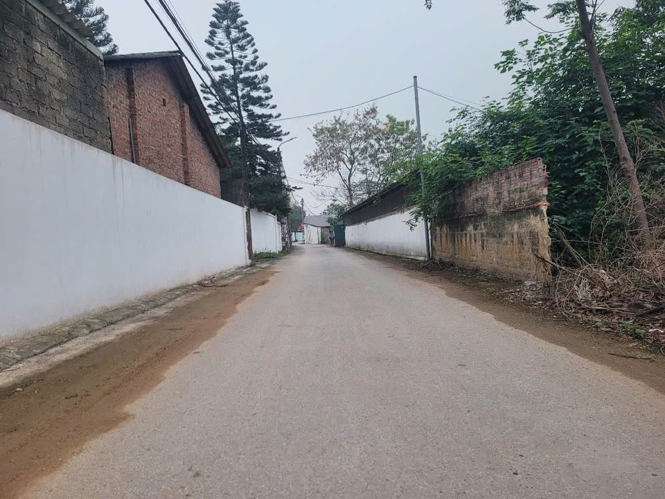 Đất nền Xuân Mới, Thanh Vân, 100m² giá 1.1 tỷ - Đầu tư lý tưởng cho tương lai!