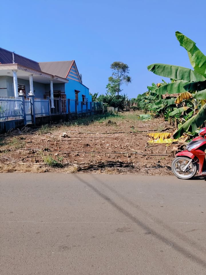 Đất nền mặt tiền đường nhựa Bàu Ham, Quận Tân Phú, 360m² - Giá chỉ 1 tỷ!