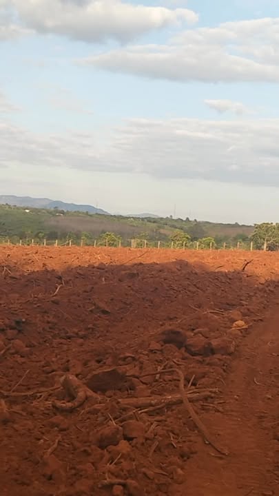 Đất rẫy tại xã Ia Chia, Gia Lai 1.1ha giá 1.5 tỷ - Cơ hội đầu tư hấp dẫn!