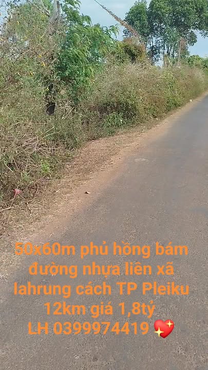 Đất nền đẹp tại Xã Ia Hrung, Huyện Ia Grai, 3000m² giá chỉ 1.8 tỷ - Cơ hội đầu tư hấp dẫn!