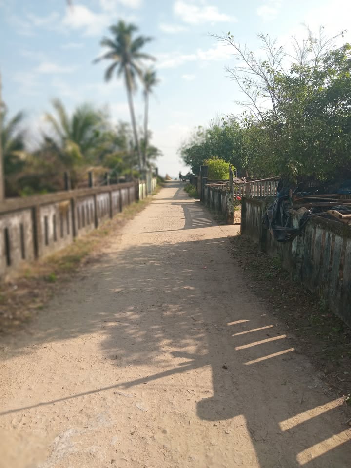 Đất Biển Thăng Trường Đà Nẵng 1982m² giá thỏa thuận - Đầu tư sinh lời!