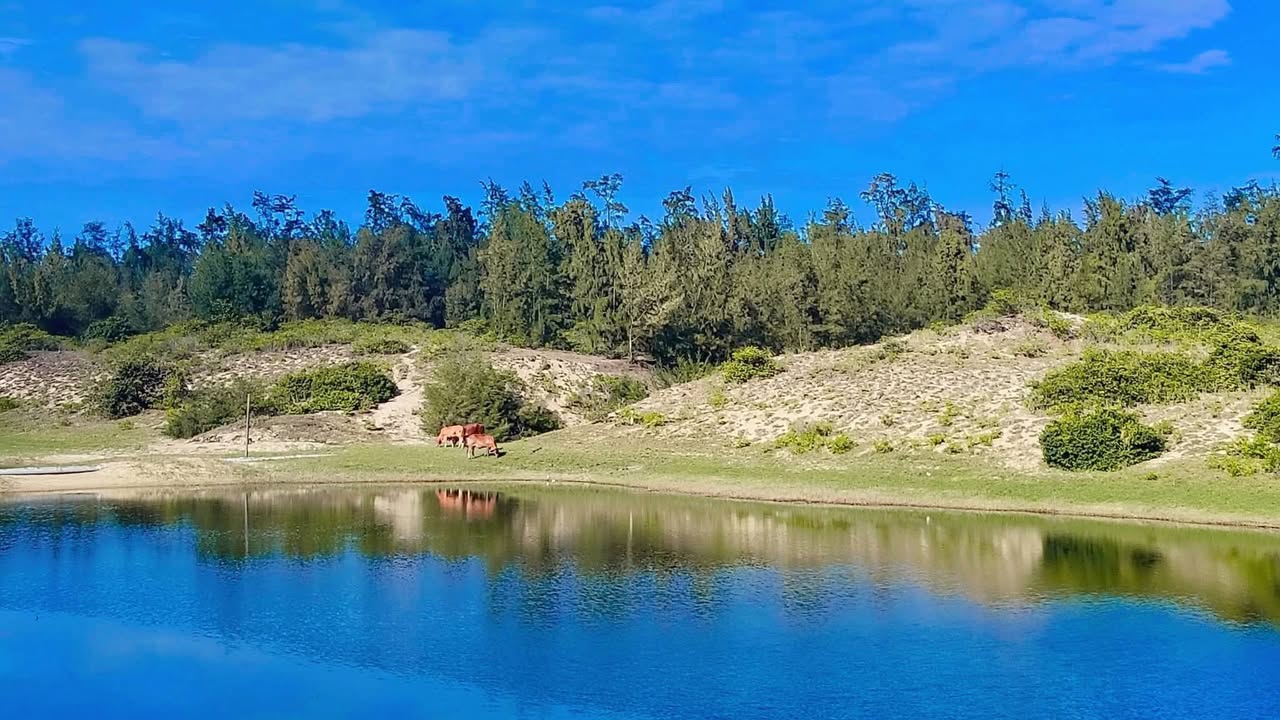 Đất nền xã Đức Phong, huyện Mộ Đức, 315m² chỉ 199 triệu - Cơ hội đầu tư tuyệt vời!