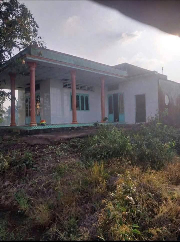 Đất thổ cư 455m² tại Mỹ Lạc, Thủ Thừa - Giá chỉ 550 triệu!