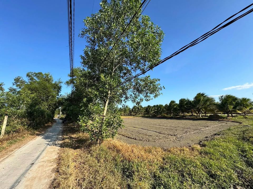 Đất nền xã Ninh Trung 30m² giá chỉ 16 triệu - Đường ô tô, dân cư đông đúc!