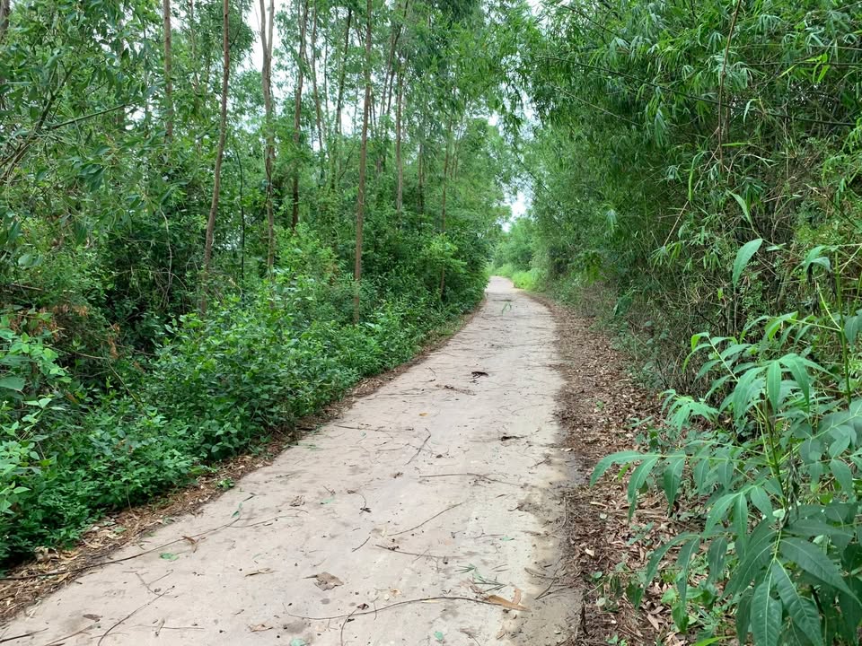 Đất nền Hồ Chí Minh 800m² giá thỏa thuận - Đầu tư sinh lời hấp dẫn!