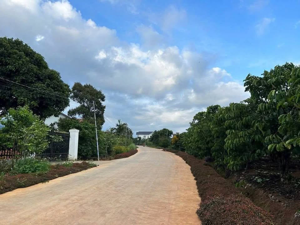 Đất mặt tiền cư xá Liên Hiệp, 720m² giá 3.2 tỷ - Pháp lý rõ ràng, tiện ích đầy đủ!