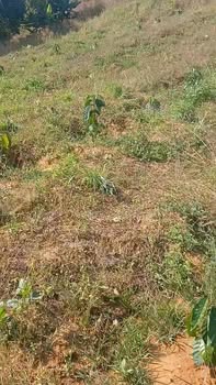 Đất Farm 1ha tại Xã Ia Kly, Huyện Chư Prông, chỉ 170 triệu - Cơ hội đầu tư tuyệt vời!