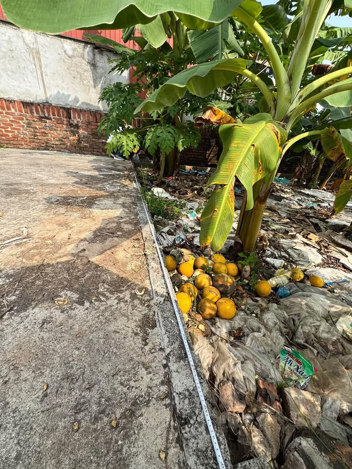 Đất nền Thường Tín 117m² giá 2.932 tỷ - Cơ hội đầu tư hiếm có!