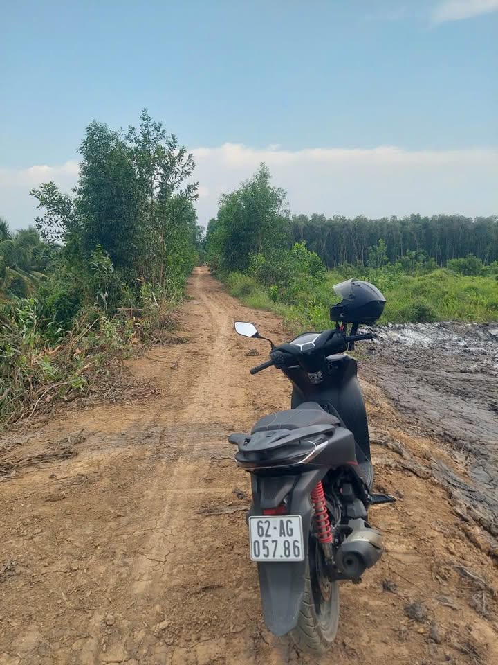 Đất vườn 1,5 công Xã Thủy Đông, Thạnh Hóa, 1445m² giá 480 triệu - Đầu tư lý tưởng!