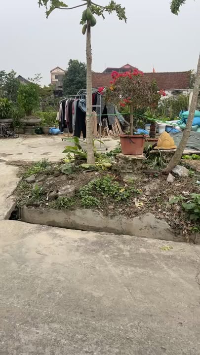 Đất nền Lương Tài Bắc Ninh 105.5m² giá 2 tỷ - Sổ đỏ chính chủ ngay!