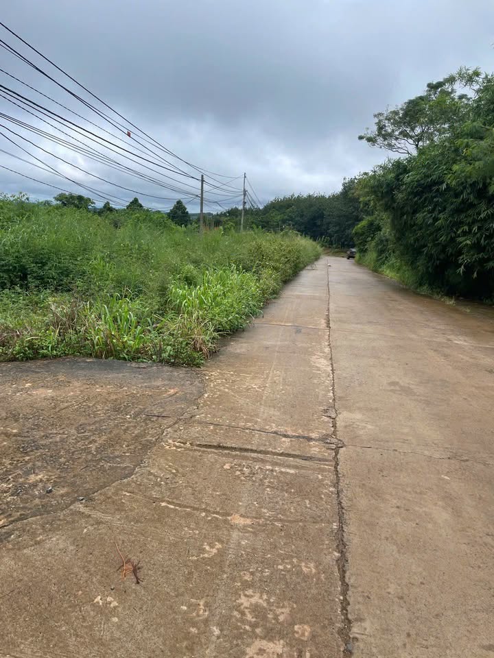 Đất nền Gia Nghĩa 1000m² giá thỏa thuận - Mặt tiền đường bê tông liên xã